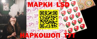 сатива Кингисепп