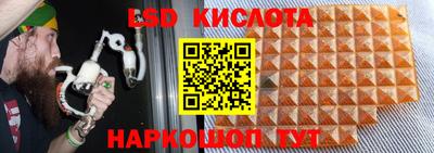 сатива Кингисепп