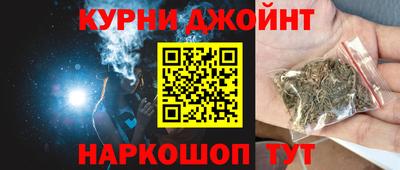 сатива Кингисепп
