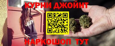 сатива Кингисепп