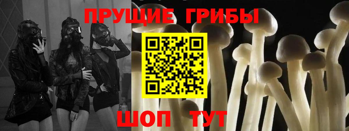 Галлюциногенные грибы мухоморы Тольятти